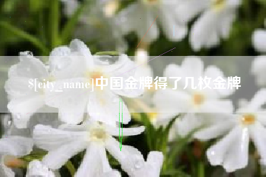 上饶中国金牌得了几枚金牌