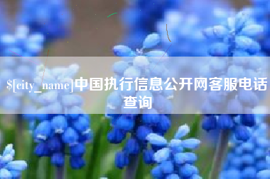 上饶中国执行信息公开网客服电话查询