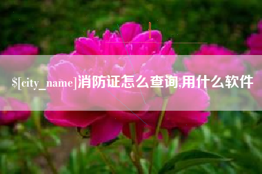 上饶消防证怎么查询,用什么软件