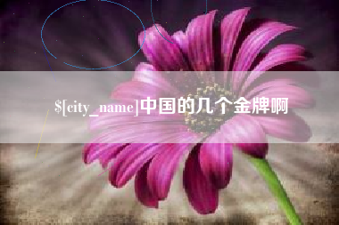 上饶中国的几个金牌啊