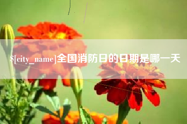 上饶全国消防日的日期是哪一天