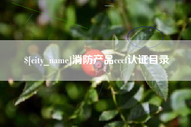 上饶消防产品cccf认证目录