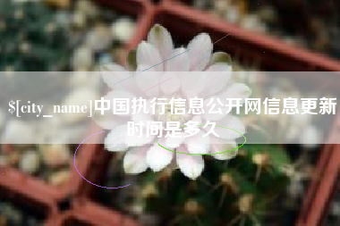 上饶中国执行信息公开网信息更新时间是多久