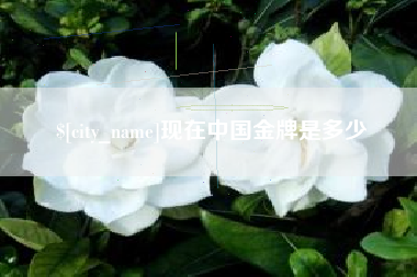 上饶现在中国金牌是多少