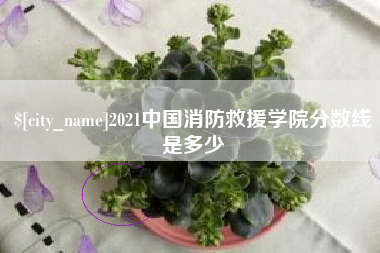 上饶2021中国消防救援学院分数线是多少