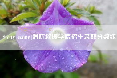 上饶消防救援学院招生录取分数线