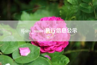 上饶执行信息公示
