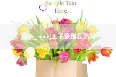 上饶王子豪是怎么写
