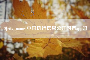 上饶中国执行信息公开网有app吗