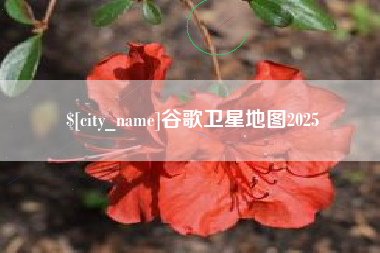 上饶谷歌卫星地图2025