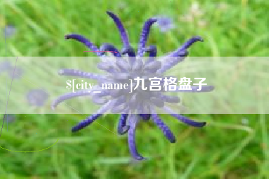 上饶九宫格盘子