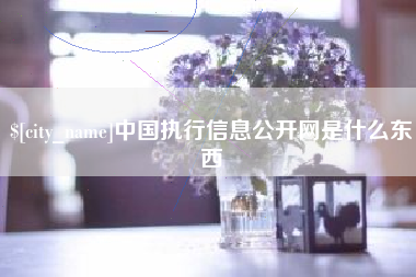 上饶中国执行信息公开网是什么东西