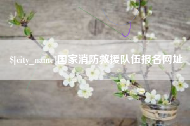 上饶国家消防救援队伍报名网址