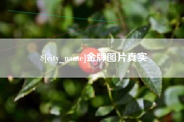 上饶金牌图片真实