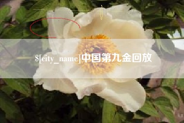 上饶中国第九金回放
