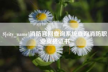 上饶消防官网查询系统查询消防职业资格证书