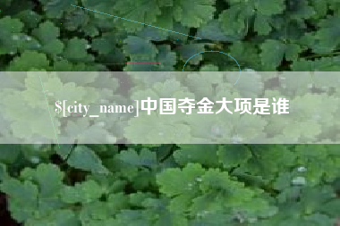 上饶中国夺金大项是谁