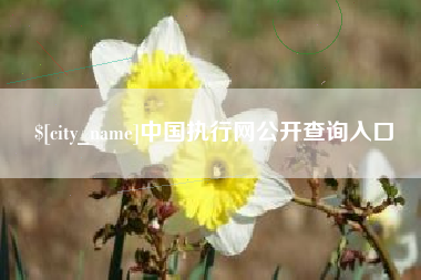 上饶中国执行网公开查询入口