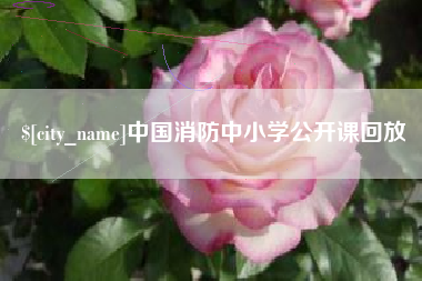 上饶中国消防中小学公开课回放