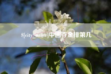 上饶中国夺金排第几