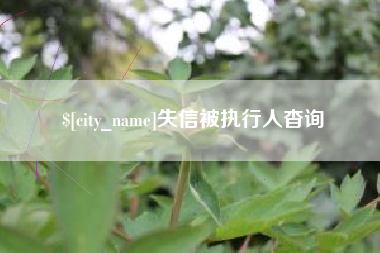 上饶失信被执行人杳询