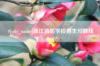 上饶浙江消防学校招生分数线