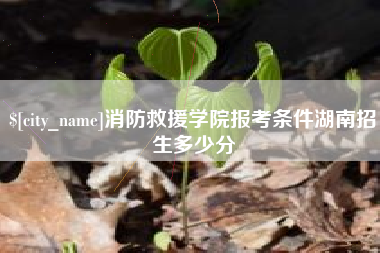 上饶消防救援学院报考条件湖南招生多少分