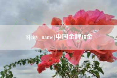 上饶中国金牌18金