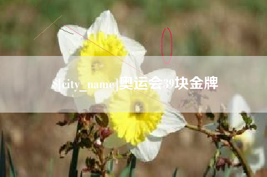 上饶奥运会39块金牌