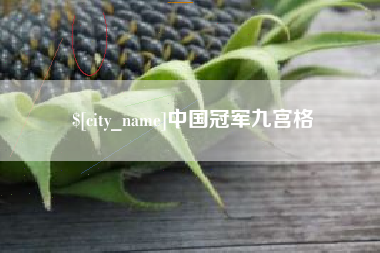 上饶中国冠军九宫格