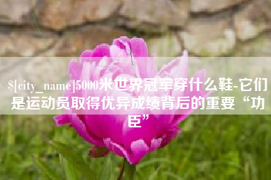 上饶5000米世界冠军穿什么鞋-它们是运动员取得优异成绩背后的重要“功臣”