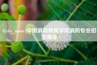 上饶中国消防救援学院消防专业招生简章