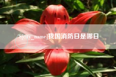 上饶我国消防日是哪日