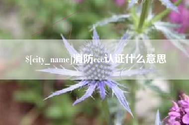 上饶消防ccc认证什么意思