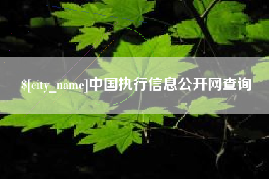 上饶中国执行信息公开网查询
