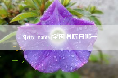 上饶全国消防日哪一