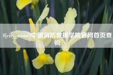 上饶中国消防救援学院官网首页查询