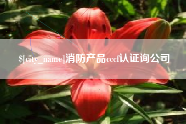 上饶消防产品cccf认证询公司