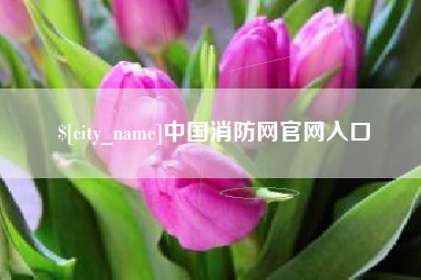 上饶中国消防网官网入口