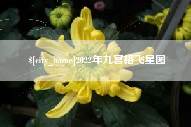 上饶2022年九宫格飞星图
