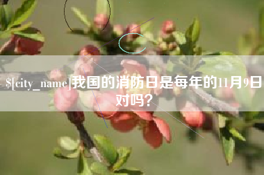 上饶我国的消防日是每年的11月9日对吗？
