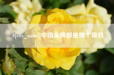 上饶中国金牌都是哪个项目