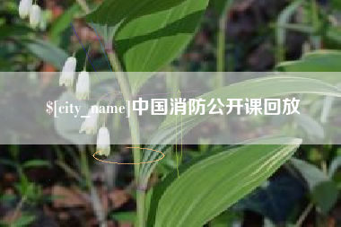 上饶中国消防公开课回放