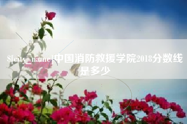 上饶中国消防救援学院2018分数线是多少