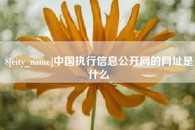上饶中国执行信息公开网的网址是什么