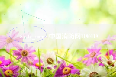 上饶中国消防网1190119