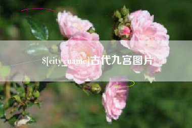 上饶古代九宫图片