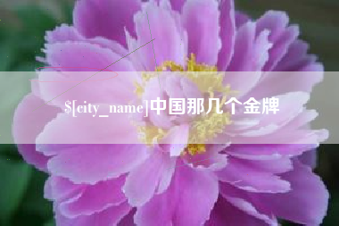 上饶中国那几个金牌