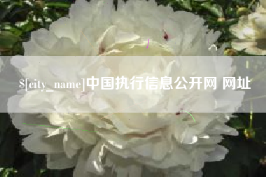 上饶中国执行信息公开网 网址