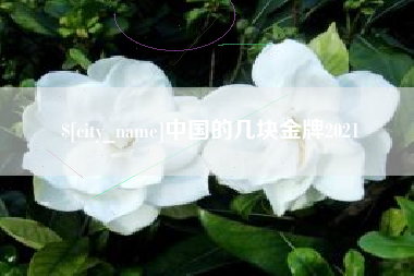 上饶中国的几块金牌2021